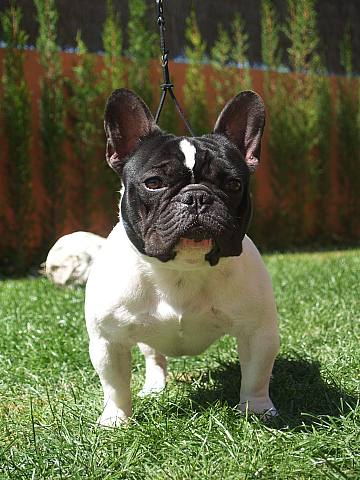 FABRICE DE LA PARURE