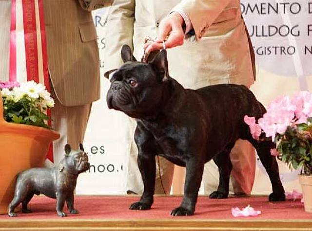 GOFREDO DE LA PARURE