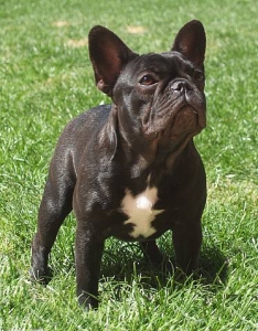 GIVENCHI DE LA PARURE